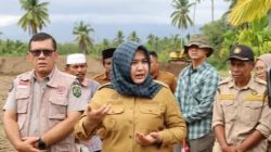 Rehabilitasi Lahan Pertanian Tangga Bosi Tuntas, Pemkab Madina Kejar Pemulihan Produksi Padi.