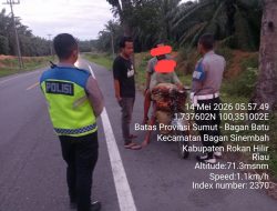 Patroli Subuh Polsek Torgamba Amankan Dua Pria Pembawa Sawit Diduga Hasil Curian.