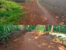 Warga Keluhkan Jalan Penghubung Batu Tegi–Sinar Sekampung Masih Tanah Selama 20 Tahun.