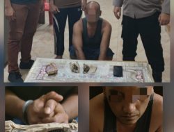 Polsek Gebang Gerak Cepat Ungkap Peredaran Ganja, Satu Pelaku Berhasil Diamankan.