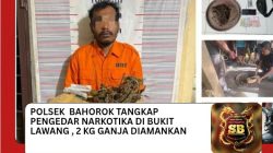Polsek Bahorok Tangkap Pengedar Narkotika Di Bukit Lawang, 2 Kg Ganja Diamankan.