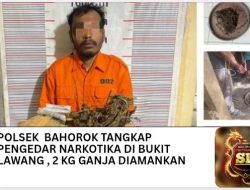 Polsek Bahorok Tangkap Pengedar Narkotika Di Bukit Lawang, 2 Kg Ganja Diamankan.