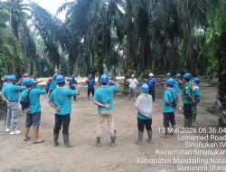 KUD HEMAT Tambah Aset Kebun Sawit, Pengurus Optimistis Tingkatkan Kesejahteraan Anggota.