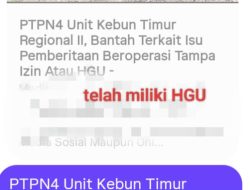 Pernyataan Manager PT PN IV Kebun Timur Madina Kembali Picu Pertanyaan Publik Soal Legalitas Lahan.
