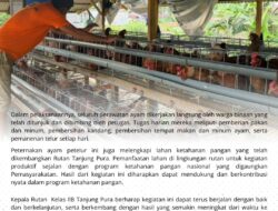Wujud Nyata Pembinaan Kemandirian Rutan tanjung Pura Laksanakan Panen Perdana Telur Ayam Petelur.