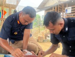    *Persiapan Penanaman Tahap Berikutnya Rutan Tanjung Pura laksanakan Penyemaian Benih Sawi Hidroponik di Lahan Ketahanan Pangan*.