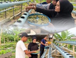 *Upaya Berkelanjutan Mendukung Program Ketahanan Pangan Rutan Tanjung Pura Laksanakan Pemindahan Bibit Sawi ke Media Hidroponik*.