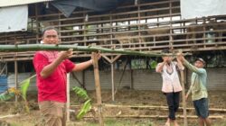 Rutan Kelas IIB Tanjung Pura Lakukan Perawatan Tanaman Labu Siam untuk Dukung Ketahanan Pangan.