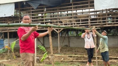 Rutan Kelas IIB Tanjung Pura Lakukan Perawatan Tanaman Labu Siam untuk Dukung Ketahanan Pangan.