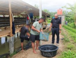 *Buah Manis dari Pembinaan Kemandirian Rutan Tanjung Pura Panen 50 Kg Ikan Lele Dari Kolam Ikan Lahan Ketahanan Pangan*l.